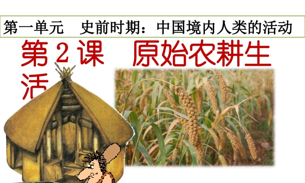 （水滴系列）（秋级历史上册 第12课 原始农耕生活》课件 新人教版