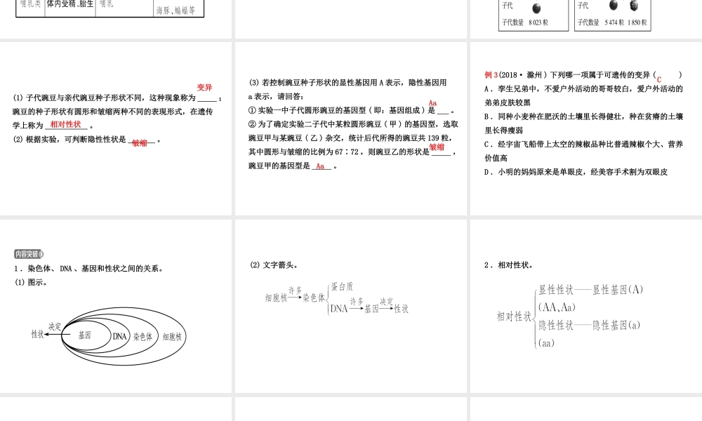 （江西专版）中考生物 第2部分 专题八 生物的生殖、发育与遗传复习课件-人教版初中九年级全册生物课件