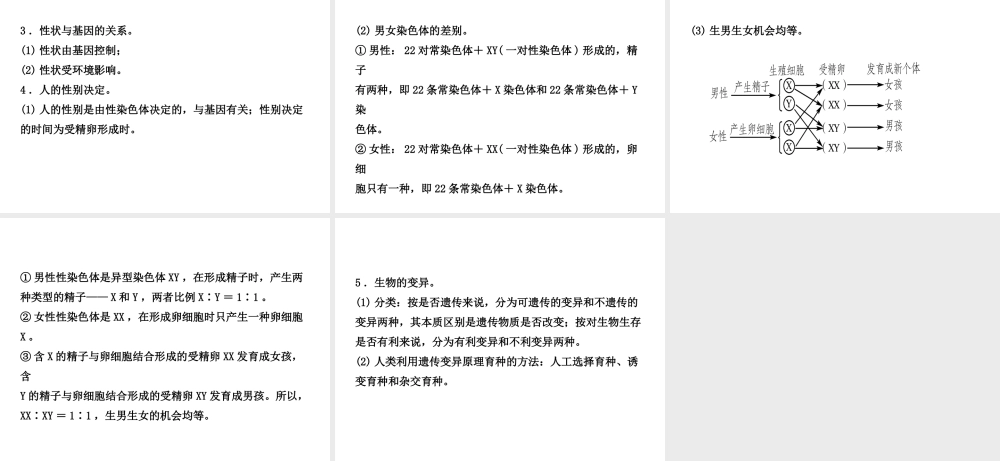 （江西专版）中考生物 第2部分 专题八 生物的生殖、发育与遗传复习课件-人教版初中九年级全册生物课件