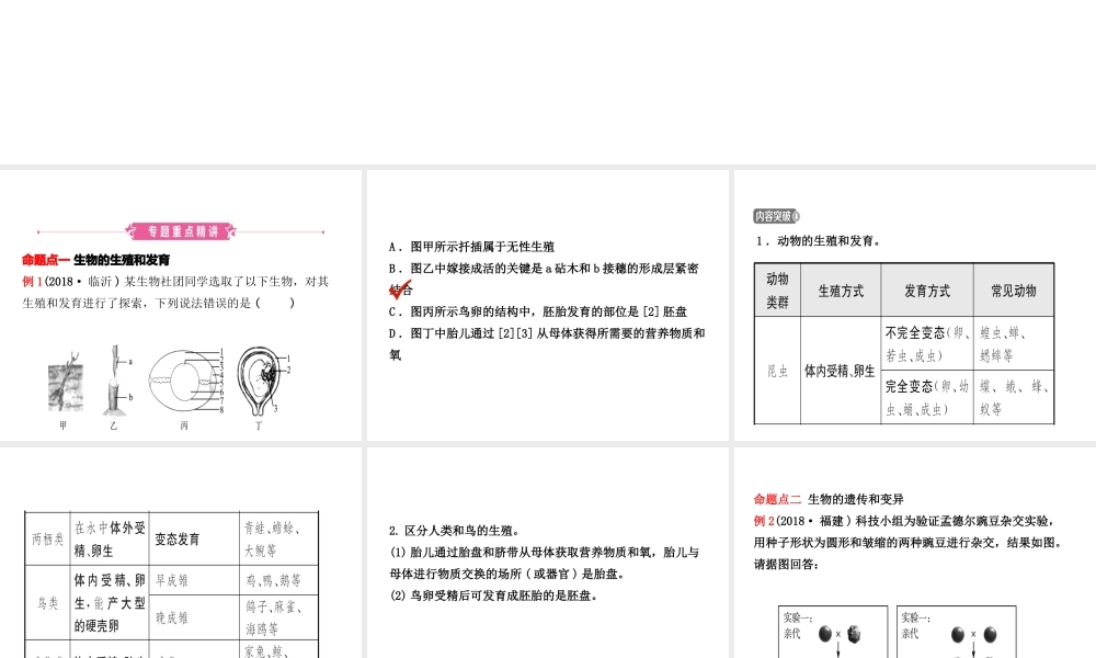（江西专版）中考生物 第2部分 专题八 生物的生殖、发育与遗传复习课件-人教级全册生物课件