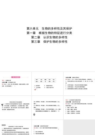 （江西专版）中考生物 第六单元 生物的多样性及其保护 第一章 第二章 第三章复习课件-人教版初中九年级全册生物课件