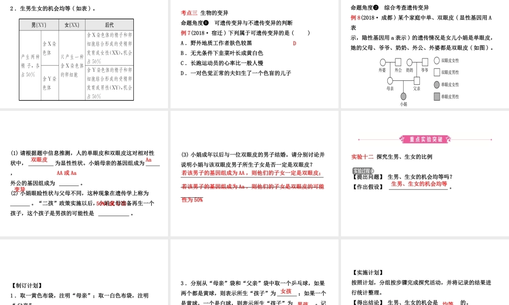 （江西专版）中考生物 第七单元 生物圈中生命的延续和发展 第二章 生物的遗传和变异复习课件-人教版初中九年级全册生物课件