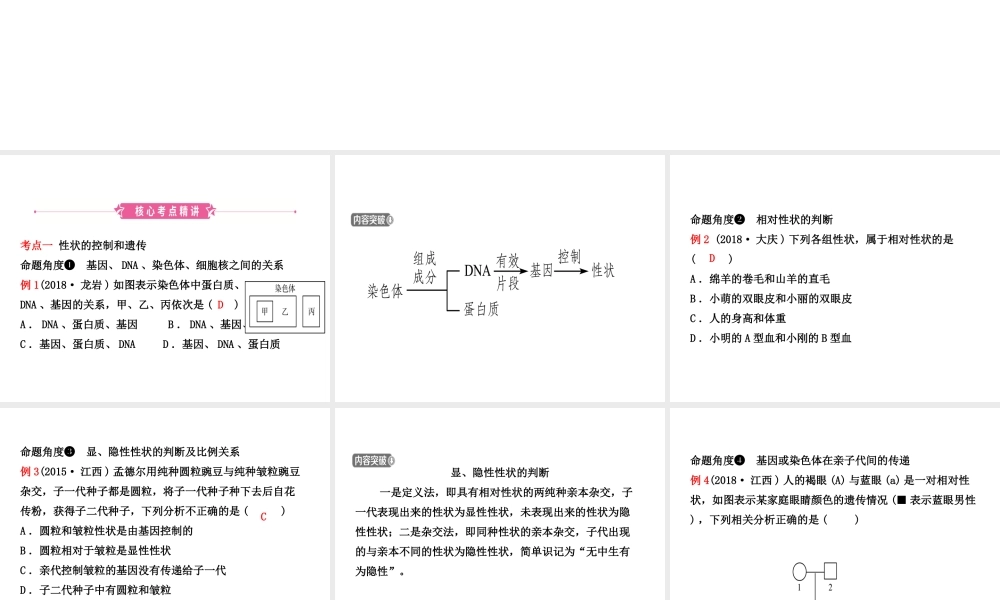 （江西专版）中考生物 第七单元 生物圈中生命的延续和发展 第二章 生物的遗传和变异复习课件-人教级全册生物课件
