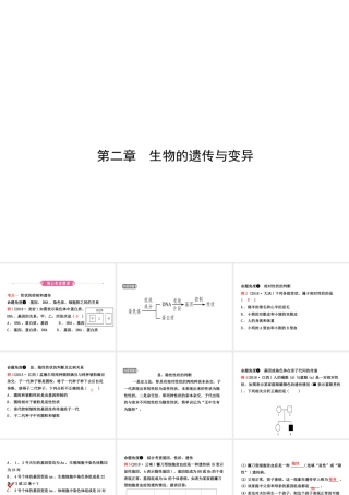 （江西专版）中考生物 第七单元 生物圈中生命的延续和发展 第二章 生物的遗传和变异复习课件-人教级全册生物课件
