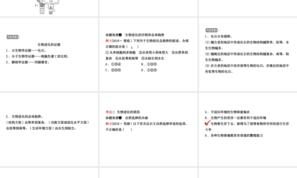 （江西专版）中考生物 第七单元 生物圈中生命的延续和发展 第三章 生命起源和生物进化复习课件-人教级全册生物课件