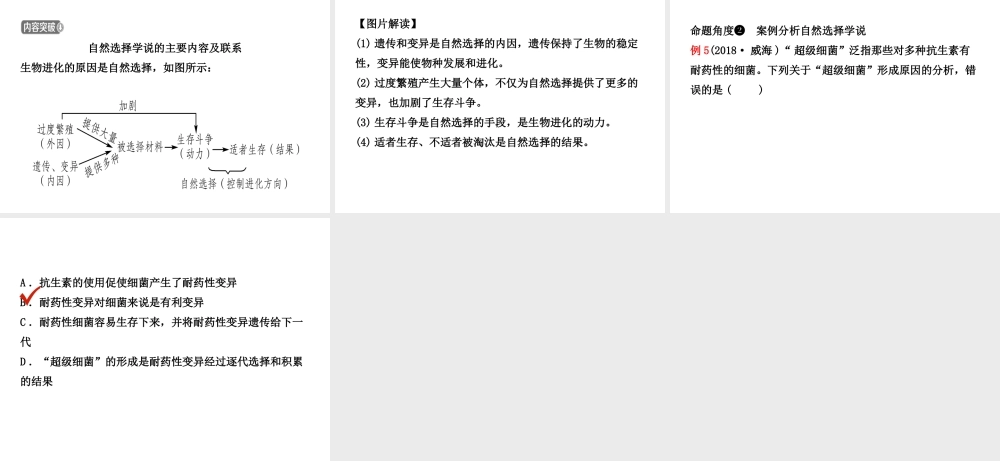 （江西专版）中考生物 第七单元 生物圈中生命的延续和发展 第三章 生命起源和生物进化复习课件-人教级全册生物课件