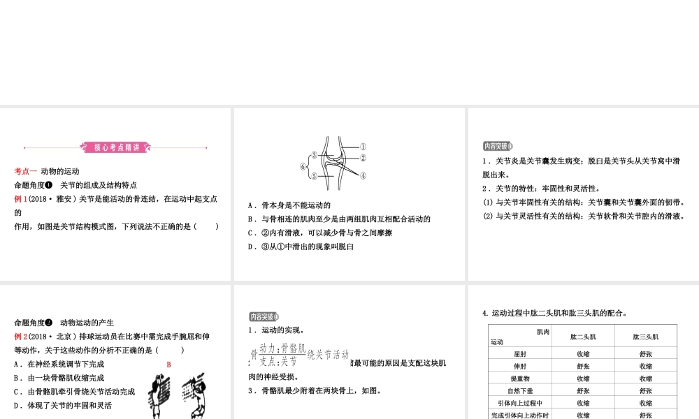 （江西专版）中考生物 第五单元 生物圈中的其他生物 第二章 第三章复习课件-人教级全册生物课件