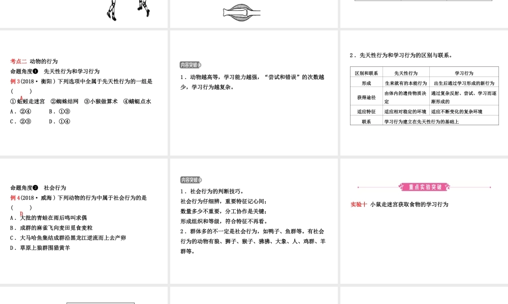 （江西专版）中考生物 第五单元 生物圈中的其他生物 第二章 第三章复习课件-人教级全册生物课件