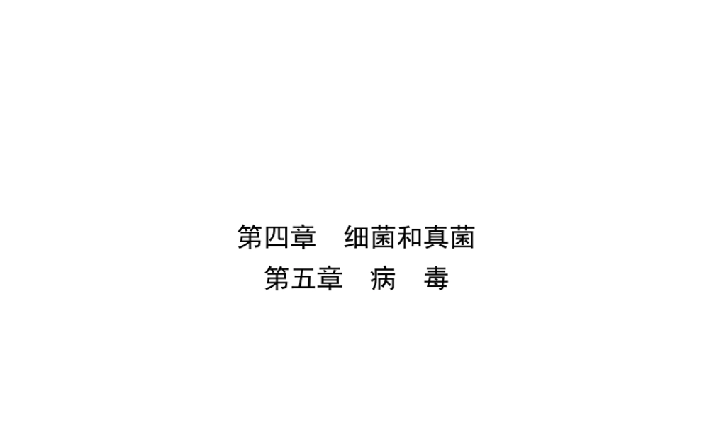 （江西专版）中考生物 第五单元 生物圈中的其他生物 第四章 第五章复习课件-人教版初中九年级全册生物课件