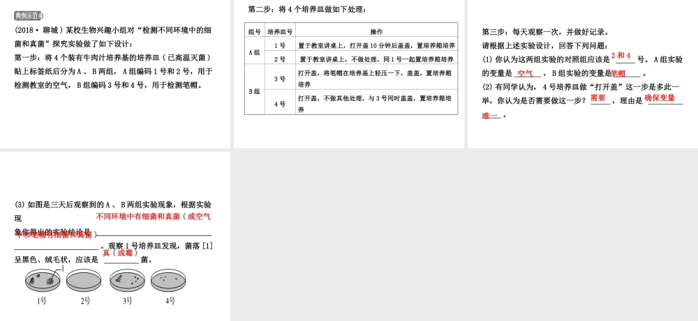 （江西专版）中考生物 第五单元 生物圈中的其他生物 第四章 第五章复习课件-人教版初中九年级全册生物课件