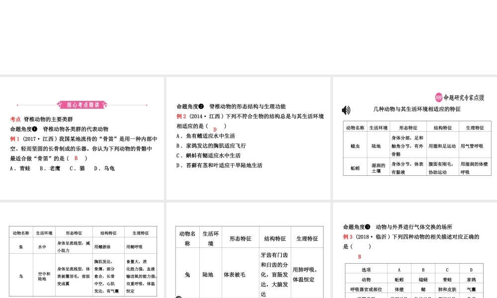 （江西专版）中考生物 第五单元 生物圈中的其他生物 第一章 动物的主要类群复习课件-人教级全册生物课件