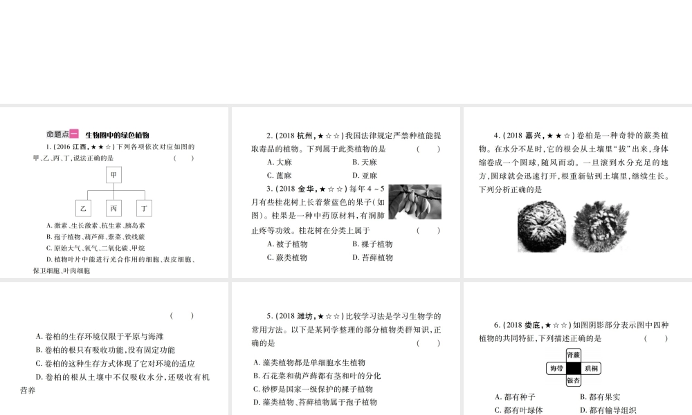 （江西专版）中考生物总复习 八 生物的多样性（动、植物的类群）教材整理课件-人教级全册生物课件