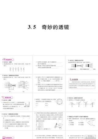 （江西专版）八年级物理上册 3.5奇妙的透镜习题课件 （新版）粤教沪版-（新版）粤教沪版初中八年级上册物理课件