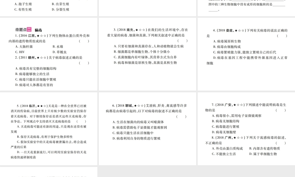 （江西专版）中考生物总复习 八 生物的多样性（细菌、真菌和病毒）教材整理课件-人教版初中九年级全册生物课件