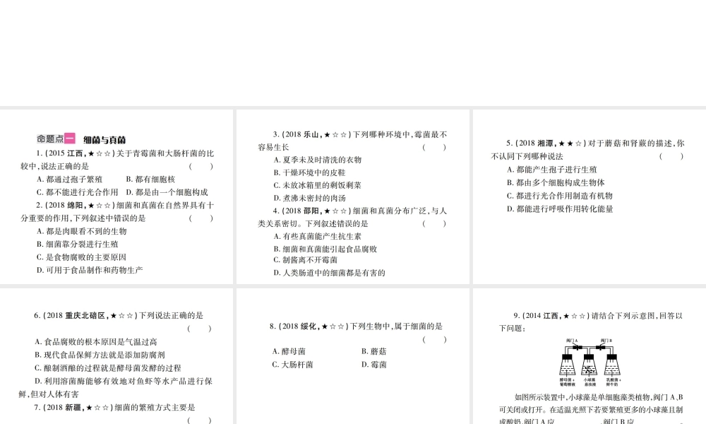 （江西专版）中考生物总复习 八 生物的多样性（细菌、真菌和病毒）教材整理课件-人教级全册生物课件