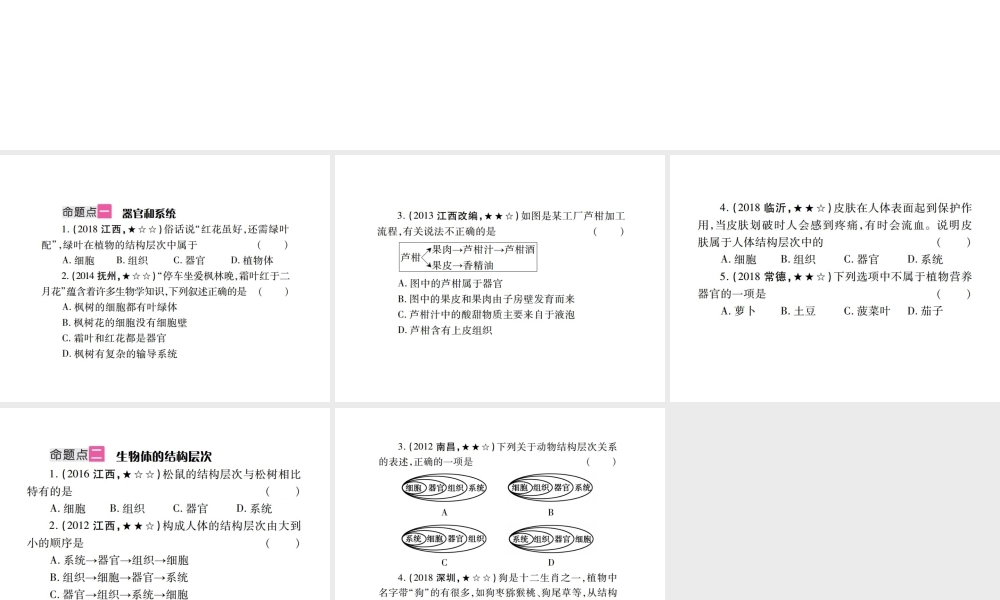 （江西专版）中考生物总复习 二 生物体的结构层次（多细胞生物体的结构层次）教材整理课件-人教级全册生物课件
