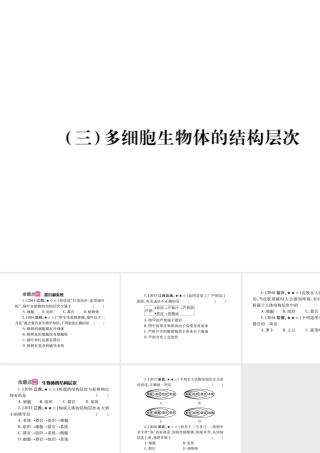 （江西专版）中考生物总复习 二 生物体的结构层次（多细胞生物体的结构层次）教材整理课件-人教级全册生物课件