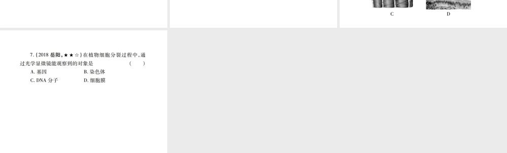 （江西专版）中考生物总复习 二 生物体的结构层次（细胞分裂、分化形成组织）教材整理课件-人教级全册生物课件