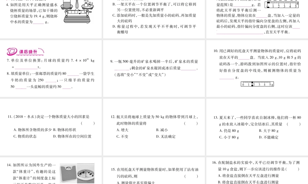（江西专版）八年级物理上册 5.1物体的质量习题课件 （新版）粤教沪版-（新版）粤教沪版初中八年级上册物理课件