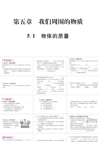 （江西专版）八年级物理上册 5.1物体的质量习题课件 （新版）粤教沪版-（新版）粤教沪版初中八年级上册物理课件
