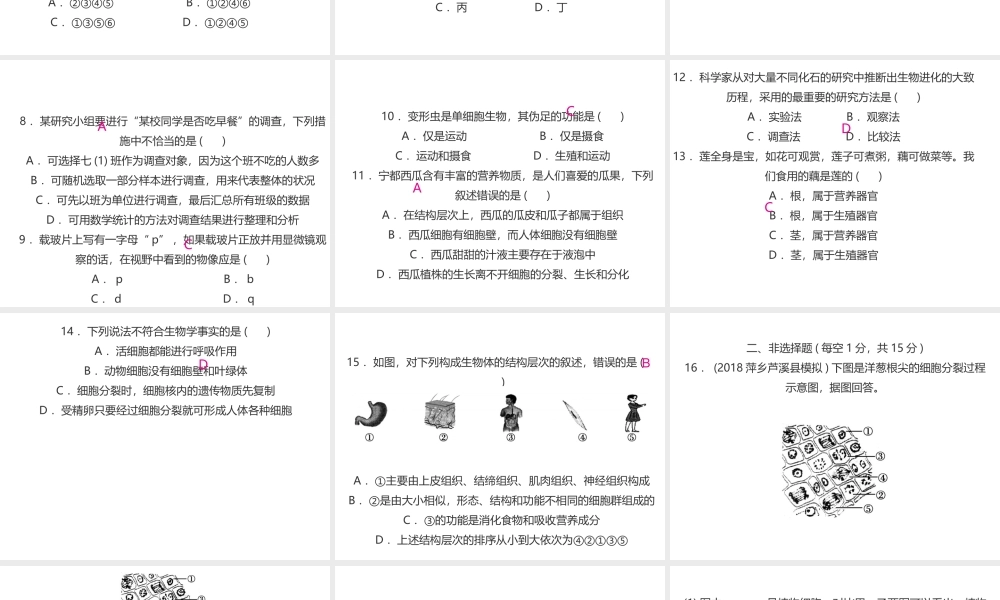 （江西专版）中考生物总复习 仿真测试卷一（测试范围：科学探究 生物体的结构层次）课件-人教版初中九年级全册生物课件