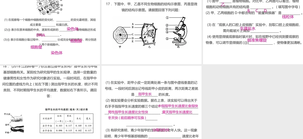 （江西专版）中考生物总复习 仿真测试卷一（测试范围：科学探究 生物体的结构层次）课件-人教版初中九年级全册生物课件