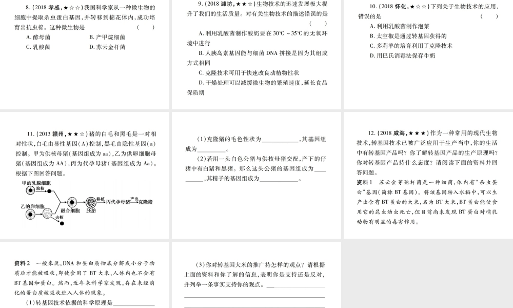 （江西专版）中考生物总复习 九 生物技术教材整理课件-人教版初中九年级全册生物课件