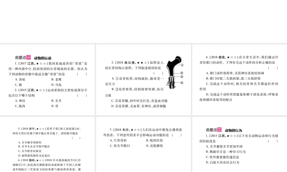 （江西专版）中考生物总复习 六 动物的运动和行为教材整理课件-人教版初中九年级全册生物课件