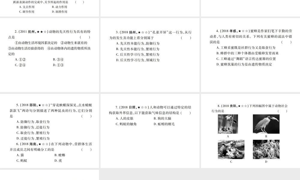 （江西专版）中考生物总复习 六 动物的运动和行为教材整理课件-人教版初中九年级全册生物课件