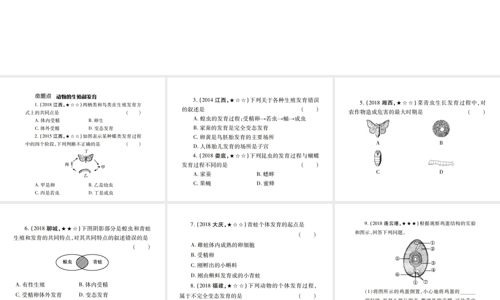 （江西专版）中考生物总复习 七 生物的生殖、发育与遗传（动物的生殖和发育）教材整理课件-人教版初中九年级全册生物课件
