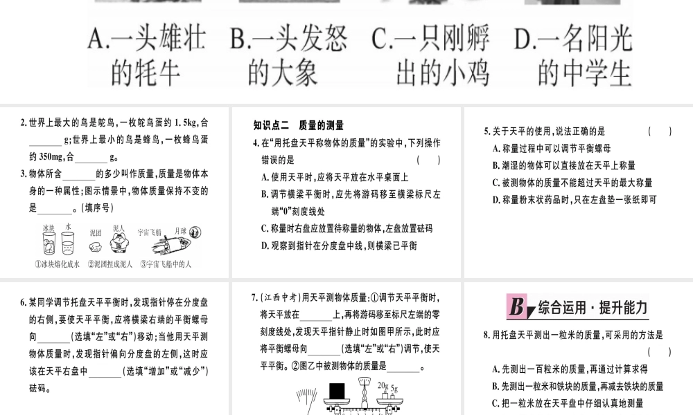 （江西专版）2018年八年级物理上册 第六章 第1节 质量习题课件 （新版）新人教版