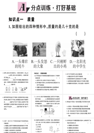 （江西专版）2018年八年级物理上册 第六章 第1节 质量习题课件 （新版）新人教版