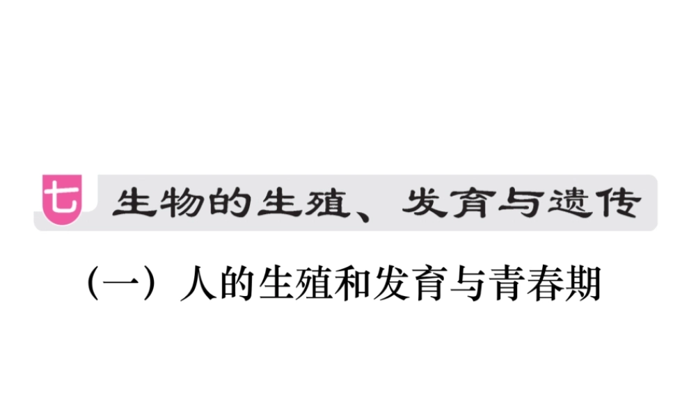 （江西专版）中考生物总复习 七 生物的生殖、发育与遗传（人的生殖和发育与青春期）教材整理课件-人教级全册生物课件