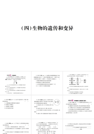 （江西专版）中考生物总复习 七 生物的生殖、发育与遗传（生物的遗传和变异）教材整理课件-人教级全册生物课件