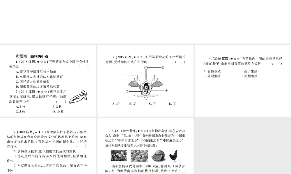 （江西专版）中考生物总复习 七 生物的生殖、发育与遗传（植物的生殖）教材整理课件-人教版初中九年级全册生物课件