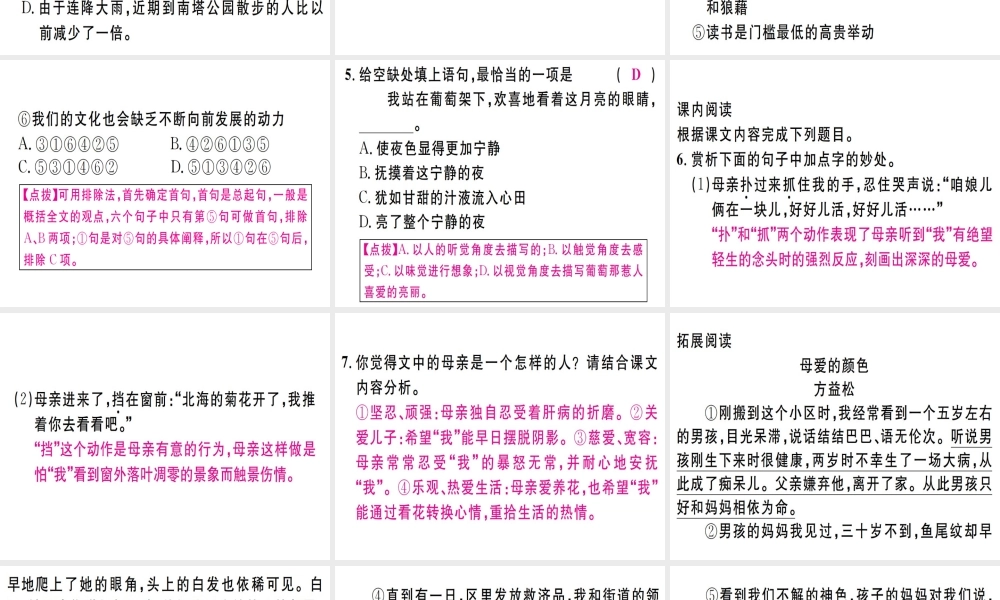 （江西专版）七年级语文上册 第二单元 5 秋天的怀念习题课件 新人教版-新人教版初中七年级上册语文课件