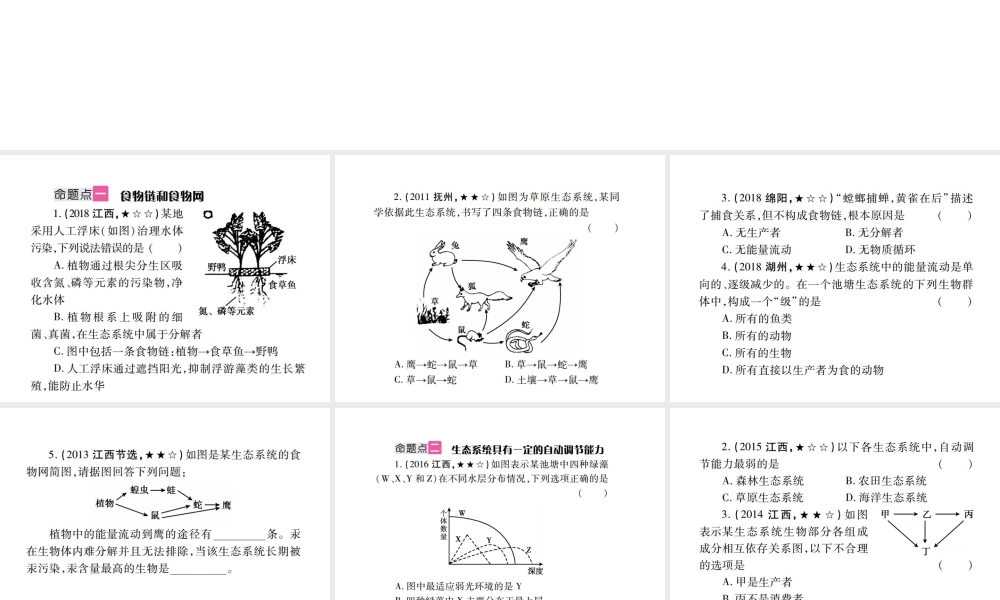 （江西专版）中考生物总复习 三 生物与环境（生物与环境组成生态系统 生物圈是人类与其他生物的共同家园）教材整理课件-人教级全册生物课件