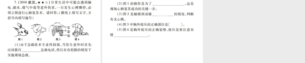 （江西专版）中考生物总复习 十 健康地生活（用药与急救 生活方式与健康）教材整理课件-人教级全册生物课件
