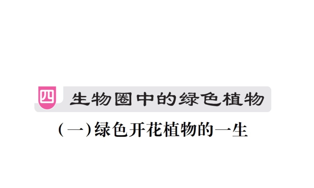 （江西专版）中考生物总复习 四 生物圈中的绿色植物（绿色开花植物的一生）教材整理课件-人教级全册生物课件