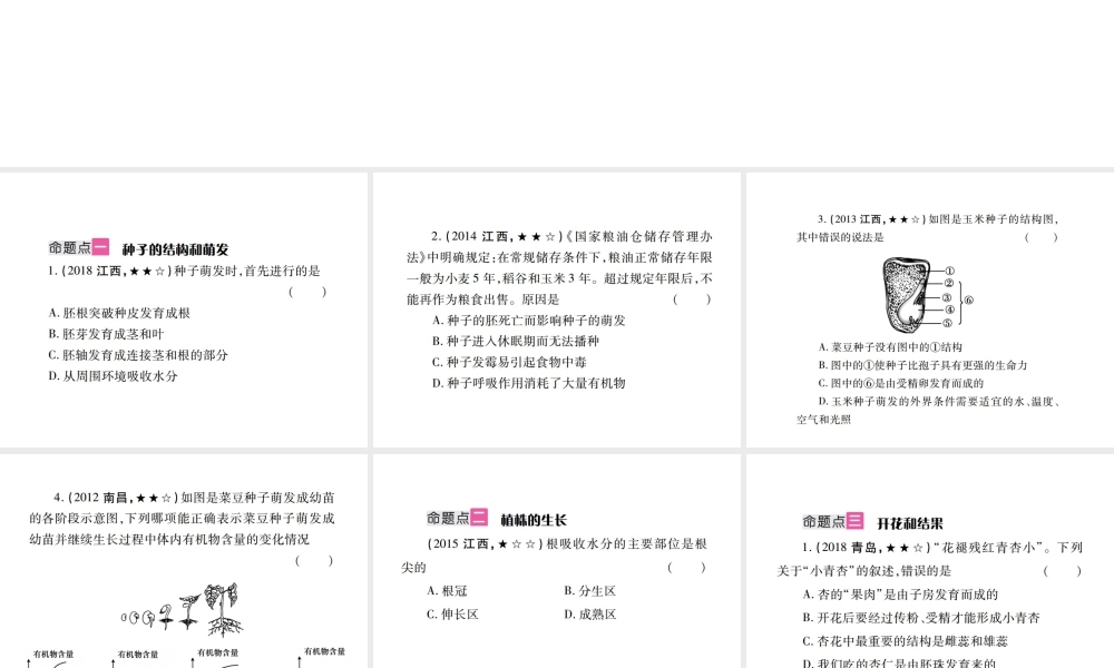 （江西专版）中考生物总复习 四 生物圈中的绿色植物（绿色开花植物的一生）教材整理课件-人教级全册生物课件