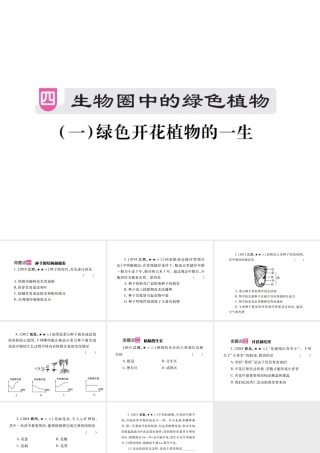 （江西专版）中考生物总复习 四 生物圈中的绿色植物（绿色开花植物的一生）教材整理课件-人教级全册生物课件