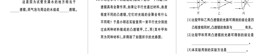 （江西专版）八年级物理上册 第五章 第1节 透镜习题课件 （新版）新人教版-（新版）新人教版初中八年级上册物理课件