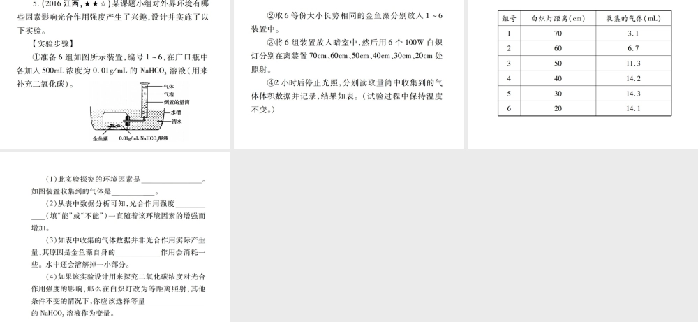 （江西专版）中考生物总复习 四 生物圈中的绿色植物（绿色植物的光合作用和呼吸作用）教材整理课件-人教版初中九年级全册生物课件