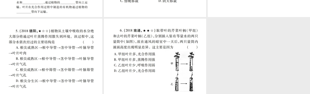 （江西专版）中考生物总复习 四 生物圈中的绿色植物（绿色植物的生活需要水和无机盐）教材整理课件-人教版初中九年级全册生物课件