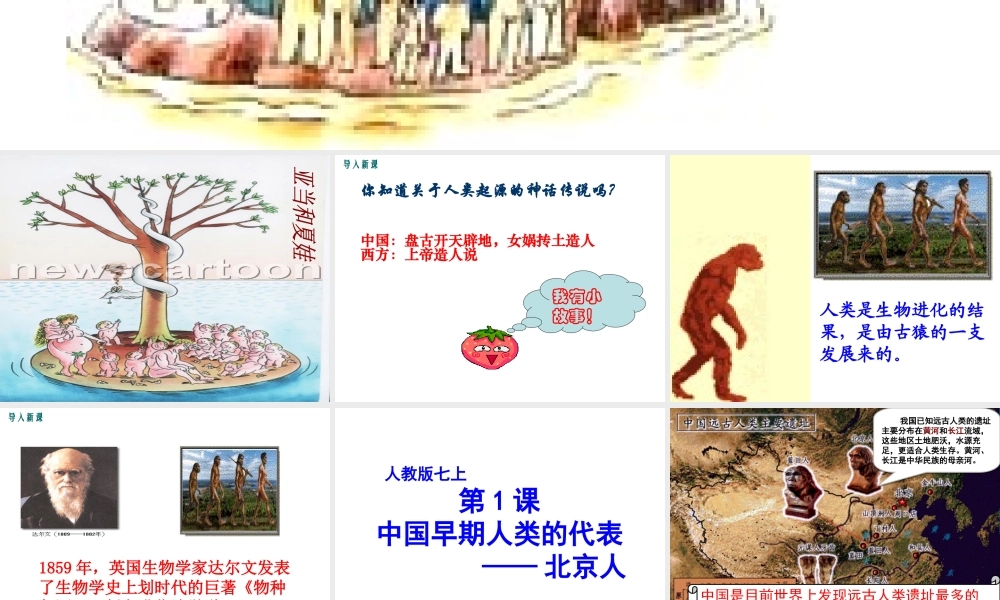 （水滴系列）（秋级历史上册 第一单元 第1课 中国早期人类的代表---北京人教学课件 新人教版-新人教级上册历史课件