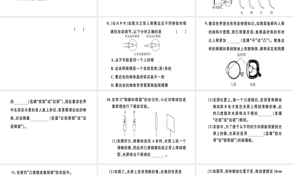 （江西专版）八年级物理上册 第五章 第4节 眼睛和眼镜习题课件 （新版）新人教版-（新版）新人教版初中八年级上册物理课件