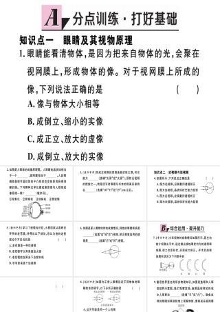 （江西专版）八年级物理上册 第五章 第4节 眼睛和眼镜习题课件 （新版）新人教版-（新版）新人教版初中八年级上册物理课件
