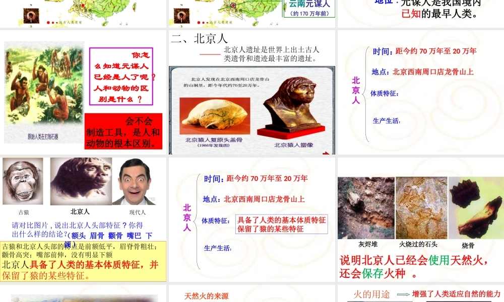 （水滴系列）（秋级历史上册 第一单元 第1课 中国早期人类的代表-北京人课件1 新人教版-新人教级上册历史课件