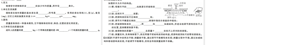 （江西专版）2019秋八年级物理上册 第六章 第1节 质量课件