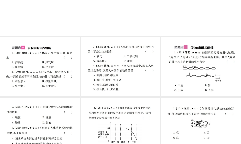 （江西专版）中考生物总复习 五 生物圈中的人（人的食物来源于环境）教材整理课件-人教版初中九年级全册生物课件
